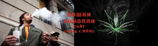шишки Балахна