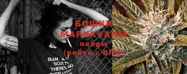 шишки Балахна