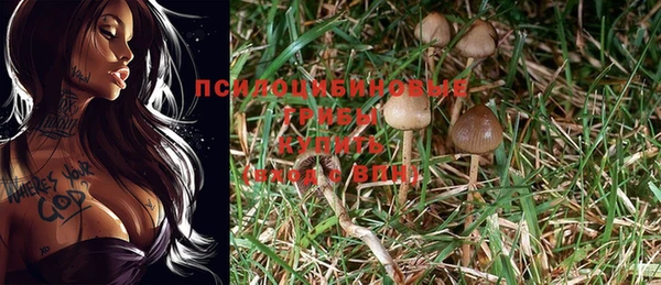 шишки Балахна